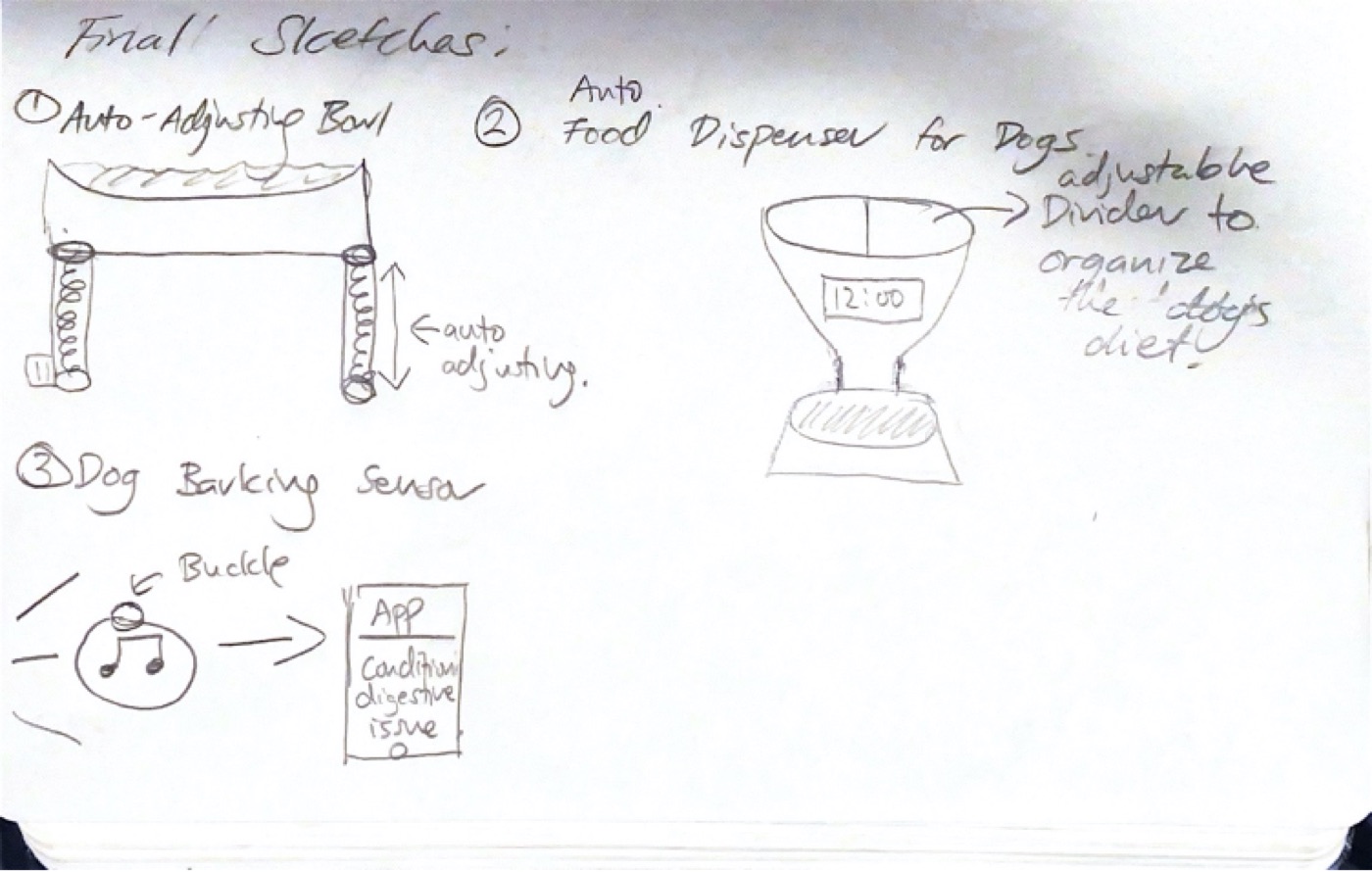 Final sketches